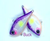 buck.png from inch long black penis in small pu