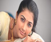 wp6786353.jpg from tamil actress face full