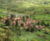 991542 houses fields from above village madagascar nature.jpg from villege