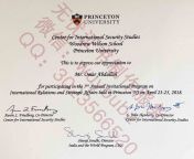 v princetion diploma vc.jpg from 假的大学文凭制作⏩办理网bzw987 com⏪