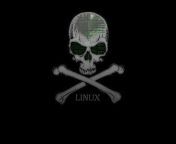 hd wallpaper linus skull linux skull pg thumbnail.jpg from hd in pg