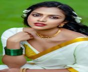 hd wallpaper amala paul kerala style malayalam actress telugu actress tamil actress thumbnail.jpg from tamil actress amalia paul braকোয়