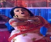 hd wallpaper amrapali dubey bhojpuri actress navel.jpg from hot amrepali dubey