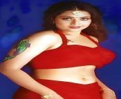 hd wallpaper meena tamil actress navel thumbnail.jpg from tamil actress kund
