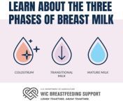 sm three stages.jpg from breast se milk
