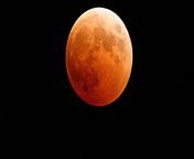 what is a blue supermoon lunar eclipse.jpg from lunat