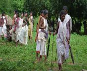 181873 women of the dongria kondh indigenous community.jpg from adivasi sex jungle fuckreast feeding of big boobs