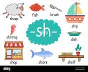 sh digraph con palabras poster educativo para ninos aprender fonetica para la escuela y el preescolar 2e3rnw8.jpg from 10 sh