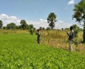 الزراعة في دولة جنوب السودان.jpg from افلام سكس جنوب السودان