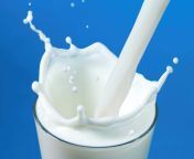 milk.jpg from best milk