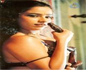 visha nagam tamil movie hot stills 012.jpg from tamil actress nagam tamil movie saree sex xxx