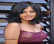 bindu madhavi gallery 0911110453 072.jpg from tamil actress bindu madhavi nude and naked without presenting mali anti sex