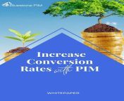 cover increase conversion rates with pim.jpg from converting pim