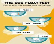 egg freshness test infographic 8f642a62557c4a39b51839006b9e1087.jpg from how do i tell if a regular file does not exist in bash 1 jpg