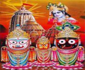 images of lord jagannath hd free download 764x1024.jpg from jagannath