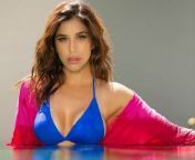 sophie hot.jpg from hot bollywood actress sophie chaudhary sexy photos in saree 6 jpg
