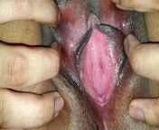 127768.jpg from indian desi pussy close up