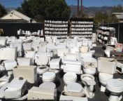 photo 5.jpg from toilet dump