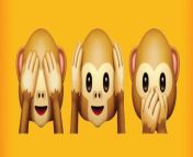 1000x700 animal emoji 1 790x310.jpg from xxx double meaning and funny videos malayalam comedy tik tok malayalam sex porn videos download