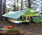 best camping tarps for hiking 1024x910.jpg from tarp