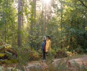 women in the forest forestry england.jpg from in the forest