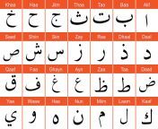 the arabic alphabet used in the moroccan arabic vocabulary is made up of 28 letters.jpg from arabic showing