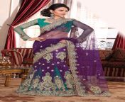 fashion sarees 17.jpg from saree fashion collection 8