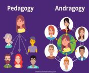 pedagogy and andragogy model 980x700.png from andra gey