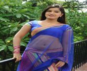kerthana podwal half saree hot photos12.jpg from tamil actress kerth