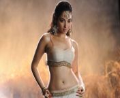tamanna bhatia hot navel stills1.jpg from tamil actress thamana sex bedroom sex video dot com sexy rape videos downlodgla gosul sex xxx com