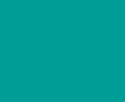 009d94 solid color background icolorpalette.png from turkis x