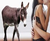 gadha.jpg final.jpg from जानवर और इंसानों का सेक्स करते हुए वीडियो