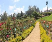 rose garden view in ooty tamil nadu 20180412163640.jpg from ooty 10 c
