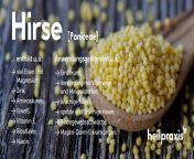 hirse uebersicht 2048x1024.jpg from hirse and