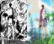 manga vs anime 1676373015174 1676373034468 1676373034468.jpg from a anim