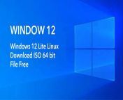 windows 12 lite linux download iso 64 bit file free.jpg from 12 download