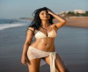 tamil actress keerthi pandiyan sexy bikini pics 02.jpg from tamil actress saranya nude sex