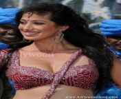 actress lakshmi rai hot cleavage photos 02.jpg from tamil actress lakshmi rai hot sex video song download