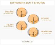 four different butt shapes memorial plastic surgery houston.jpg from with perfect ass vs