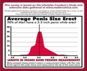 penis size average according to survey.jpg from vegayana in penish in ldies sort vergin boold sex desi painful fuck 3gp desi virgin fuck 3gp indian rapedian kolkata xxx videos