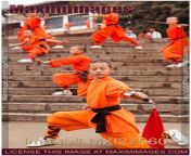 students of shaolin kung fu school performing with weapons in dengfeng stock image mx2cpjp.jpg from shaolin wushu kung fu school like tagou