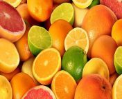 citrus fruits jpgsc langen from www your