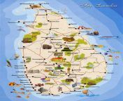 detallado mapa turistico de sri lanka small.jpg from srilanka para