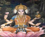 shakti goddess lakshmi.jpg from goddess