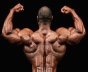 gettyimages 73539617 56cb365f5f9b5879cc540be0.jpg from bodybuilding