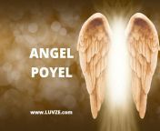 angel poyel.jpg from www poyel