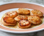 how to cook scallops 2 scaled.jpg from nancy hot fintest