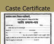 caste certificate 1529312936.jpg from more the caste certificate of porn stars who porn star jpg