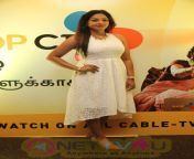 actress trisha launch in shop c j tamil photos.jpg from tamil actress shop anjw xxx ব