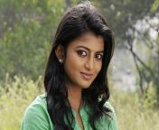 anandhi tamil actress jpeg from tamil actress nadhi
